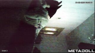  Hidden Cam Porn